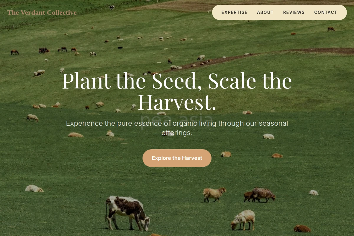 Bloom Farm