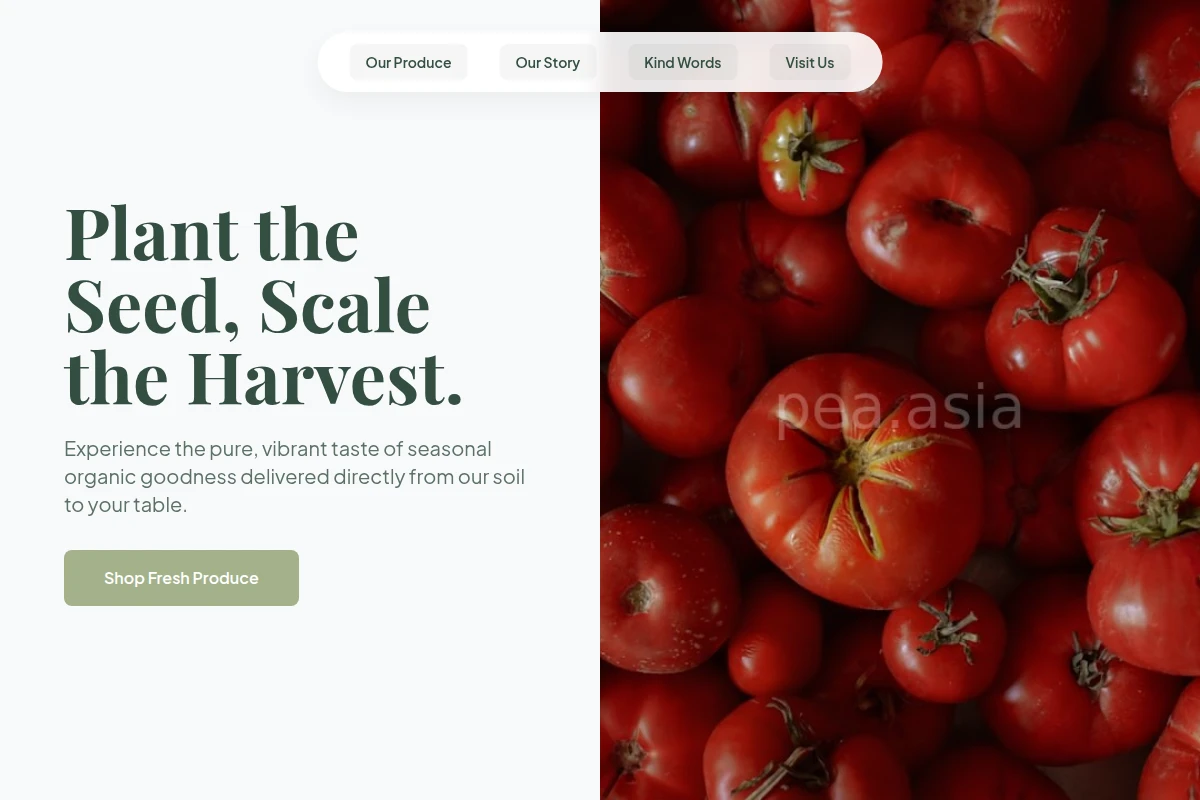 Sown Organic Food