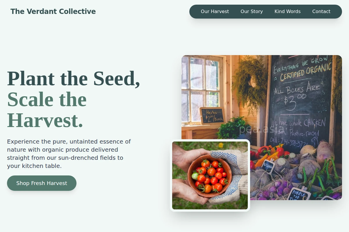 Tilled Organic Food