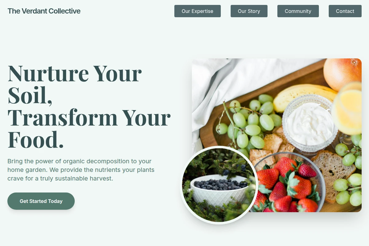Compost Organic Food
