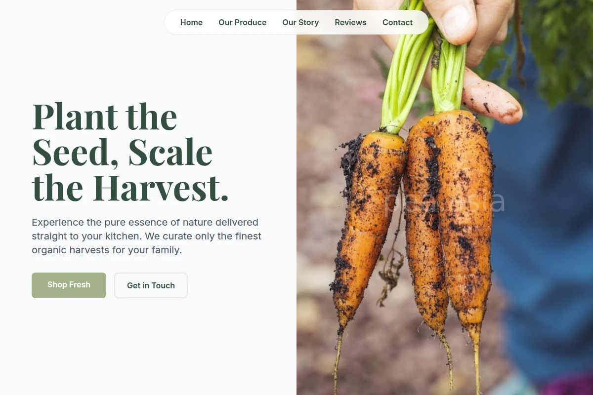 Acre Organic Food
