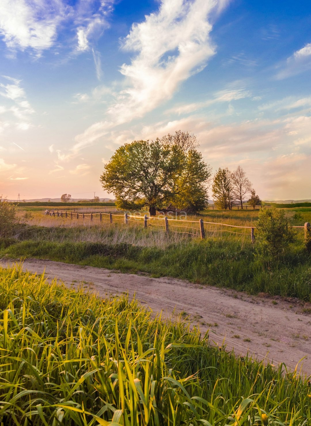 Farm subscription