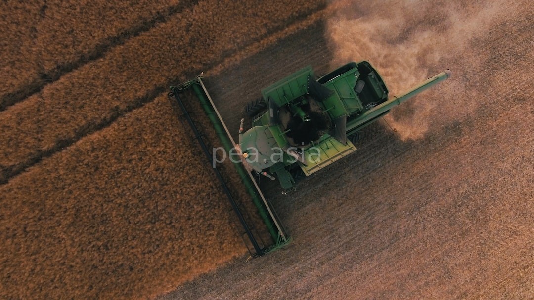 Farm life 1