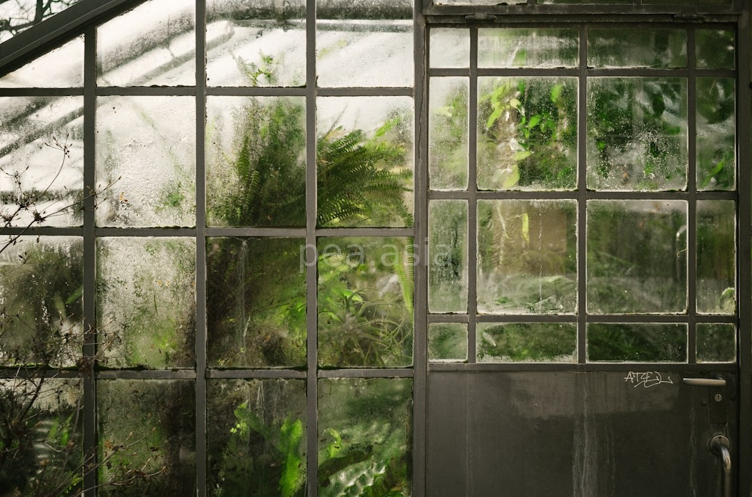Garden Care