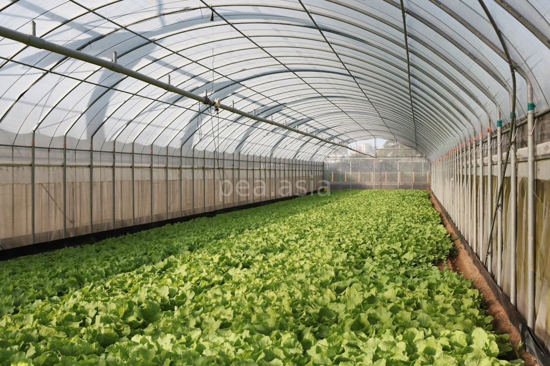 Lush Greenhouse